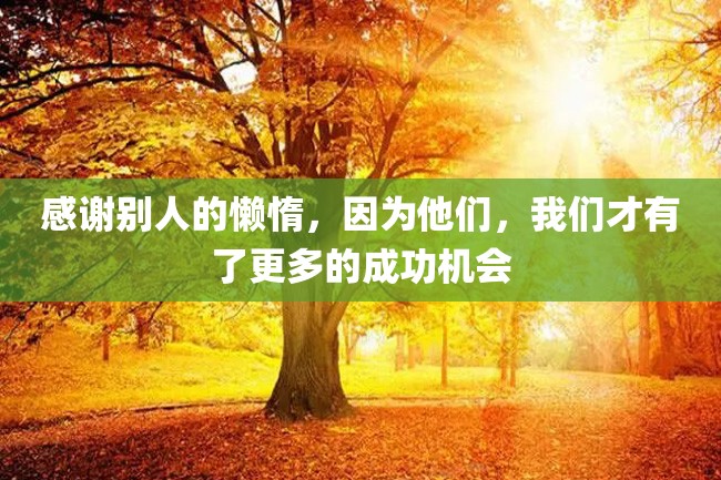 感谢别人的懒惰,因为他们,我们才有了更多的成功机会