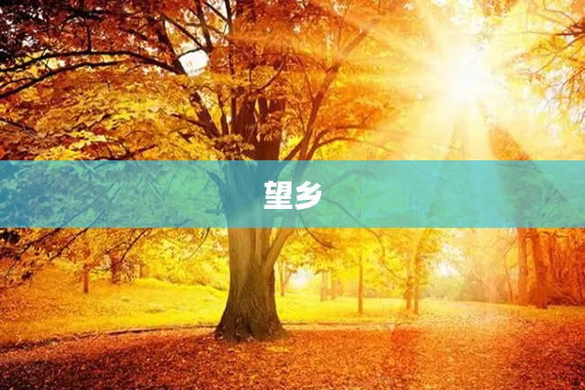 望乡