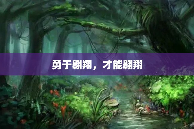 勇于翱翔,才能翱翔