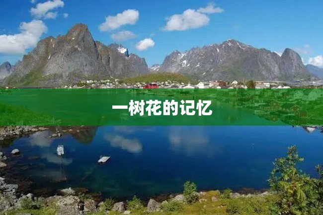 一树花的记忆