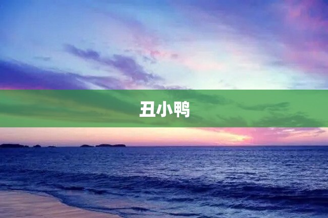 丑小鸭
