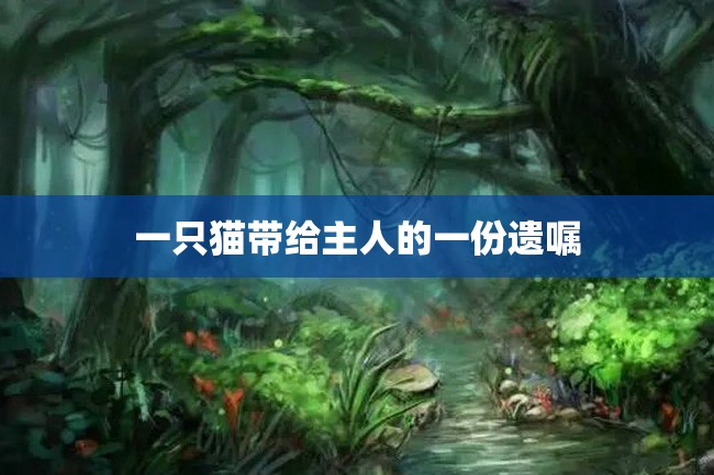 一只猫带给主人的一份遗嘱