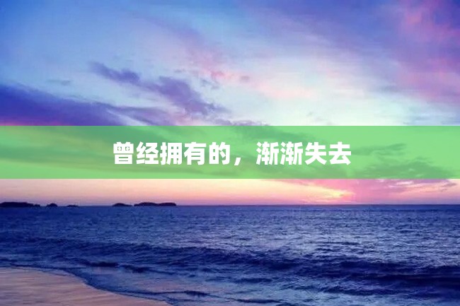 曾经拥有的,渐渐失去