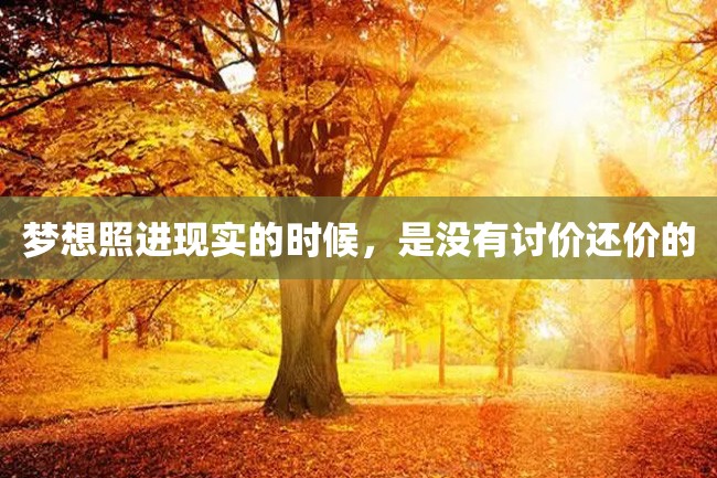 梦想照进现实的时候,是没有讨价还价的