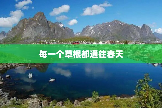 每一个草根都通往春天