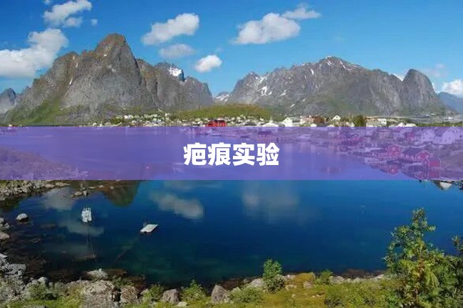 疤痕实验
