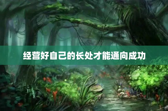 经营好自己的长处才能通向成功