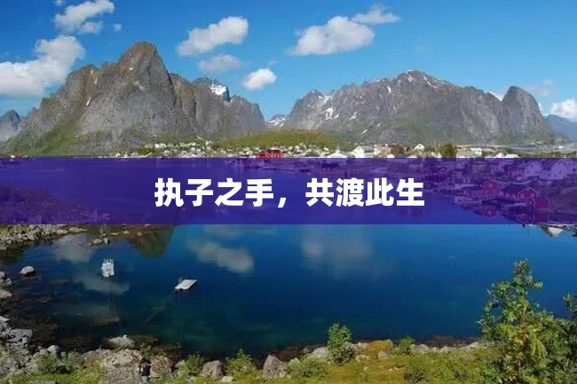 执子之手,共渡此生