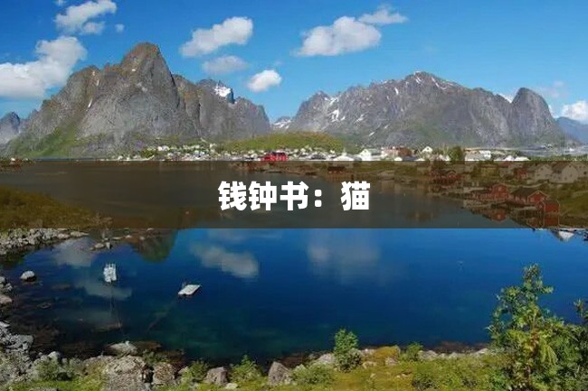 钱钟书:猫