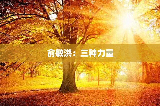 俞敏洪:三种力量