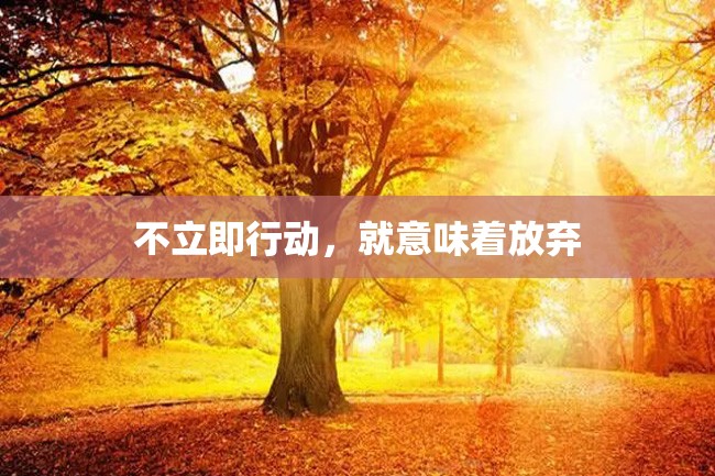 不立即行动,就意味着放弃