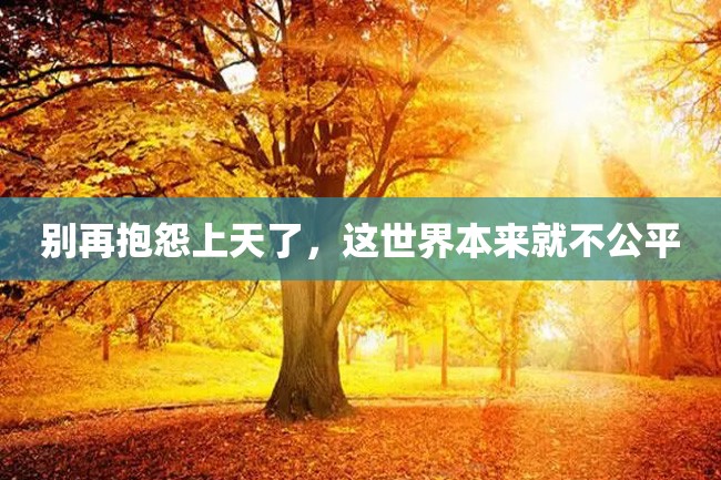 别再抱怨上天了,这世界本来就不公平