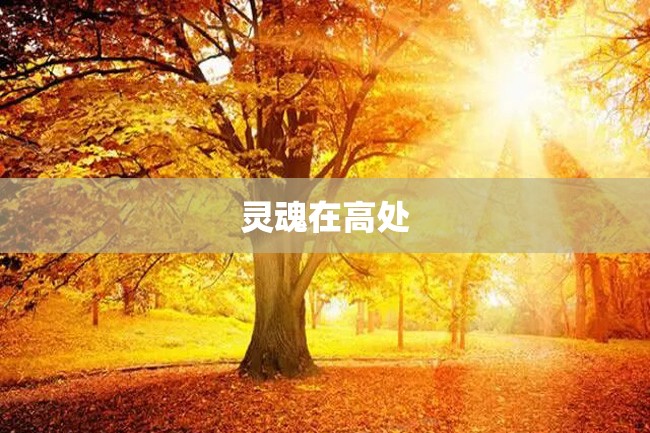 灵魂在高处