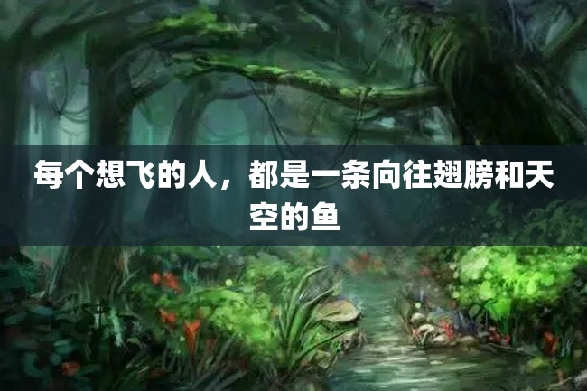 每个想飞的人,都是一条向往翅膀和天空的鱼