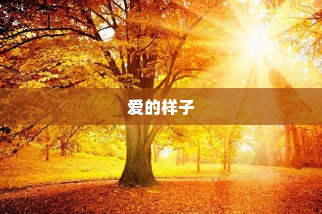 爱的样子