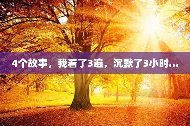 4个故事,我看了3遍,沉默了3小时…