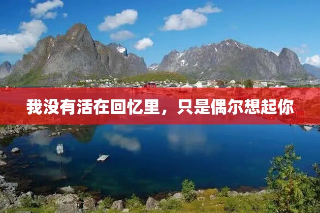 我没有活在回忆里,只是偶尔想起你