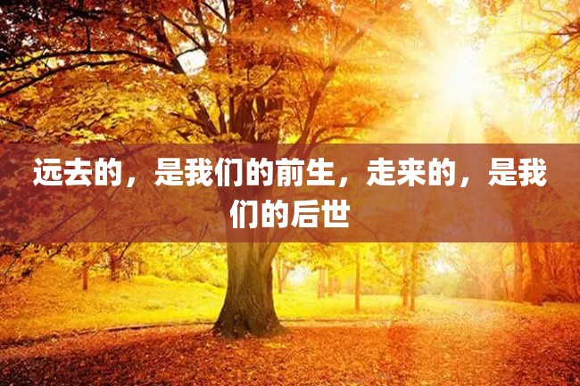 远去的,是我们的前生,走来的,是我们的后世