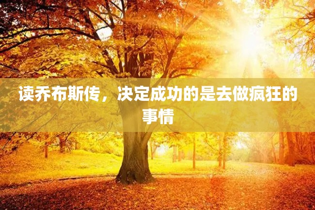 读乔布斯传,决定成功的是去做疯狂的事情