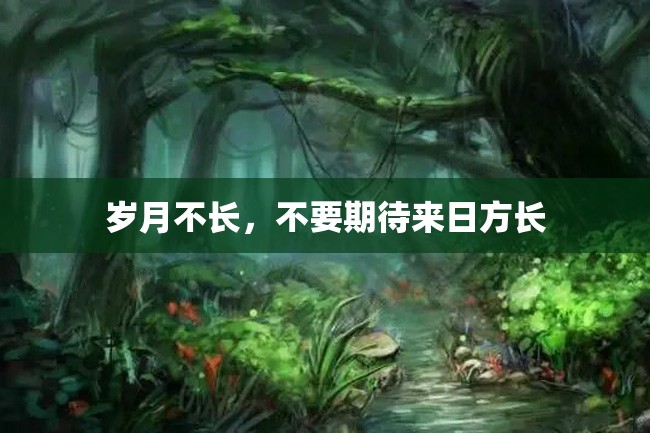 岁月不长,不要期待来日方长
