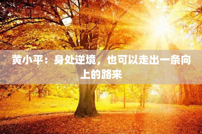 黄小平:身处逆境,也可以走出一条向上的路来