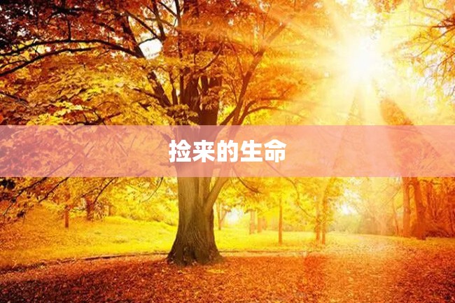 捡来的生命