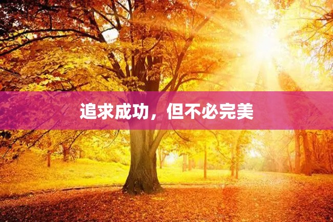 追求成功,但不必完美