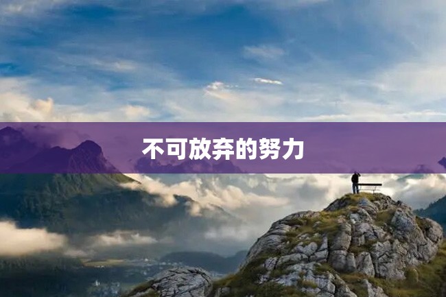 不可放弃的努力