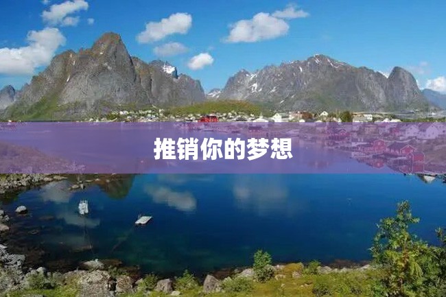推销你的梦想