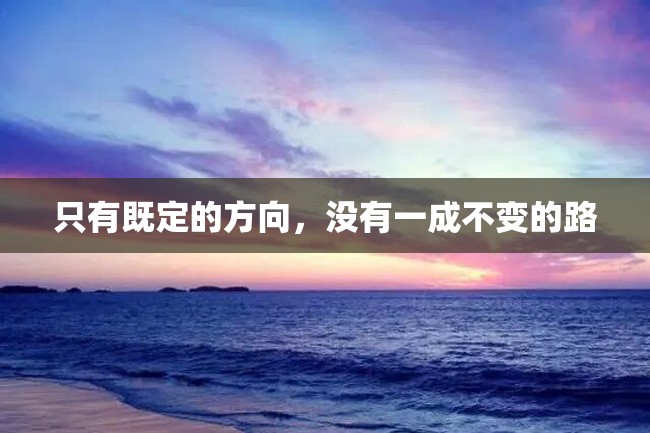 只有既定的方向,没有一成不变的路
