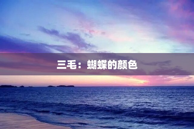 三毛:蝴蝶的颜色