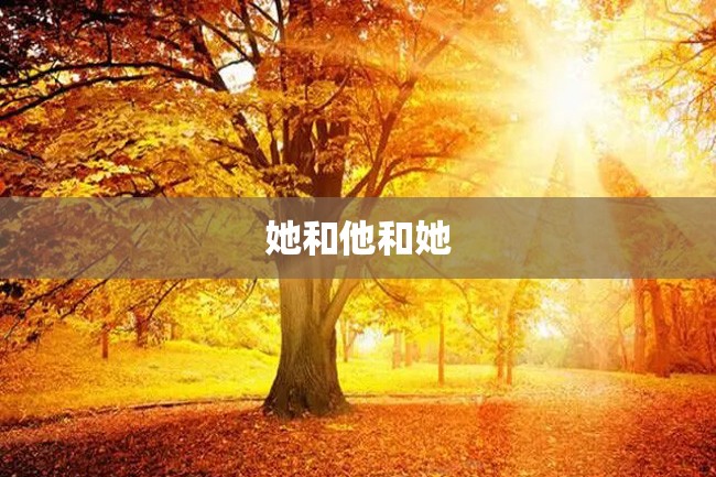 她和他和她