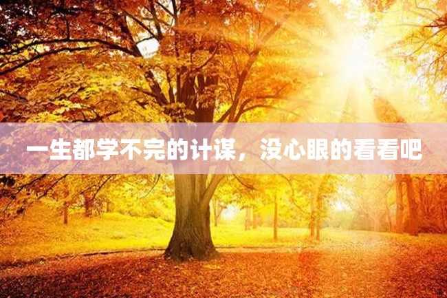 一生都学不完的计谋,没心眼的看看吧