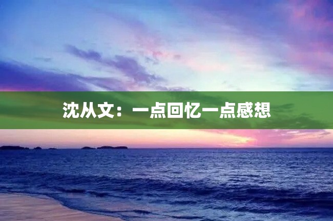 沈从文:一点回忆一点感想