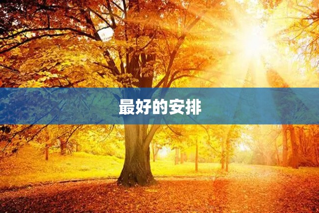 最好的安排