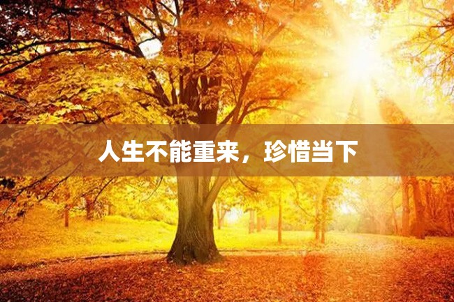 人生不能重来,珍惜当下
