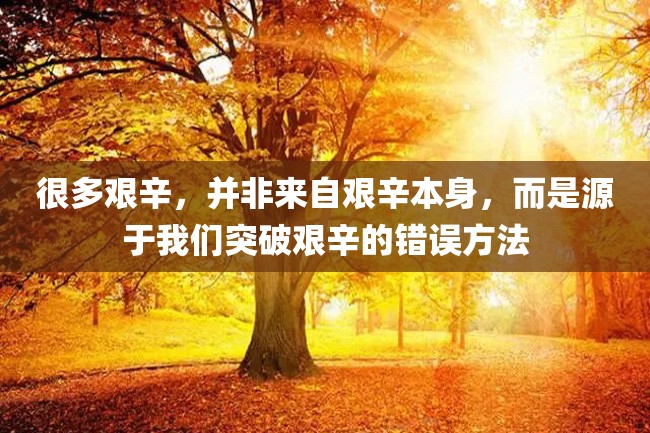 很多艰辛,并非来自艰辛本身,而是源于我们突破艰辛的错误方法