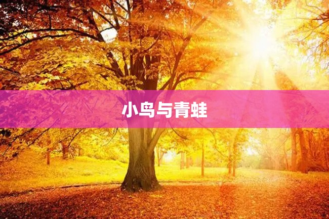小鸟与青蛙