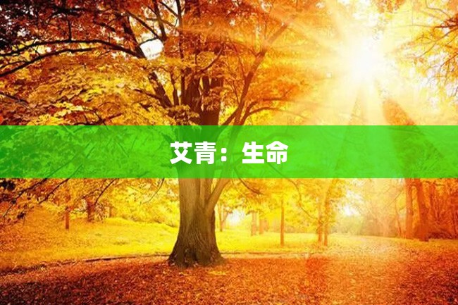 艾青:生命