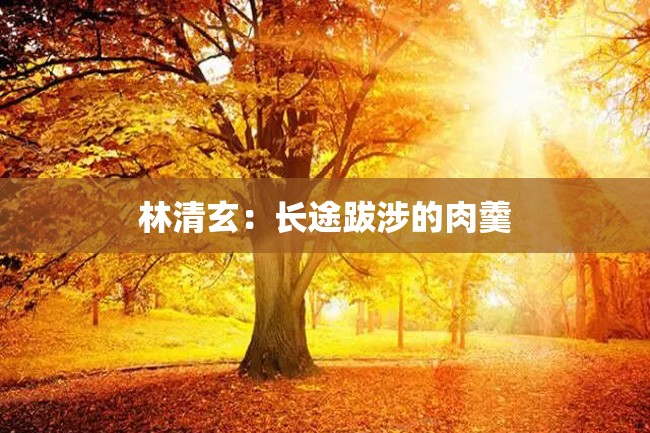 林清玄:长途跋涉的肉羹