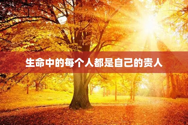 生命中的每个人都是自己的贵人