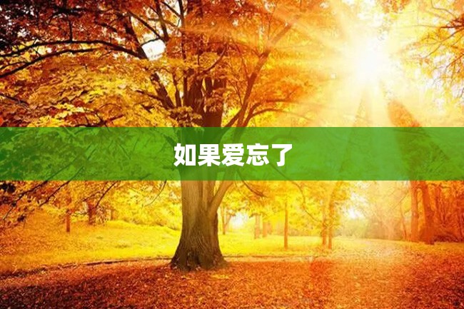 如果爱忘了