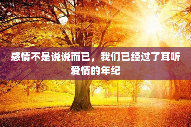 感情不是说说而已,我们已经过了耳听爱情的年纪