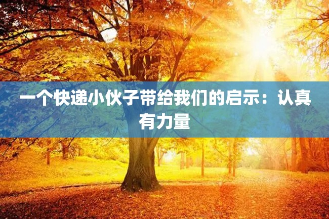 一个快递小伙子带给我们的启示:认真有力量