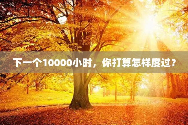 下一个10000小时,你打算怎样度过?