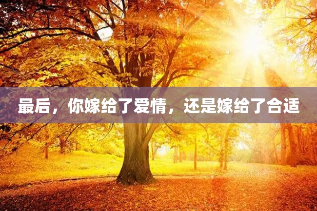 最后,你嫁给了爱情,还是嫁给了合适