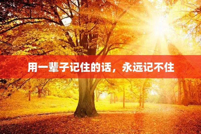 用一辈子记住的话,永远记不住
