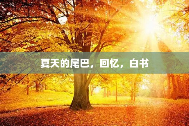 夏天的尾巴,回忆,白书