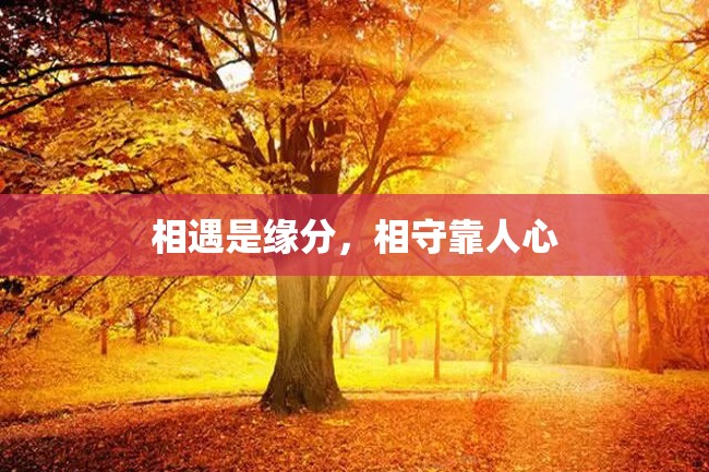 相遇是缘分,相守靠人心