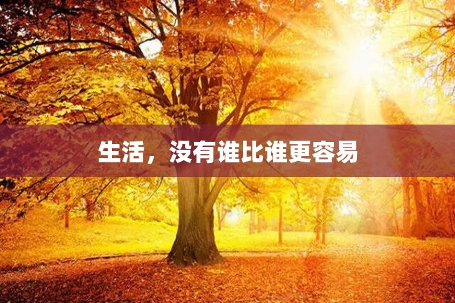 生活,没有谁比谁更容易